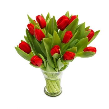 Red Tulip Vase